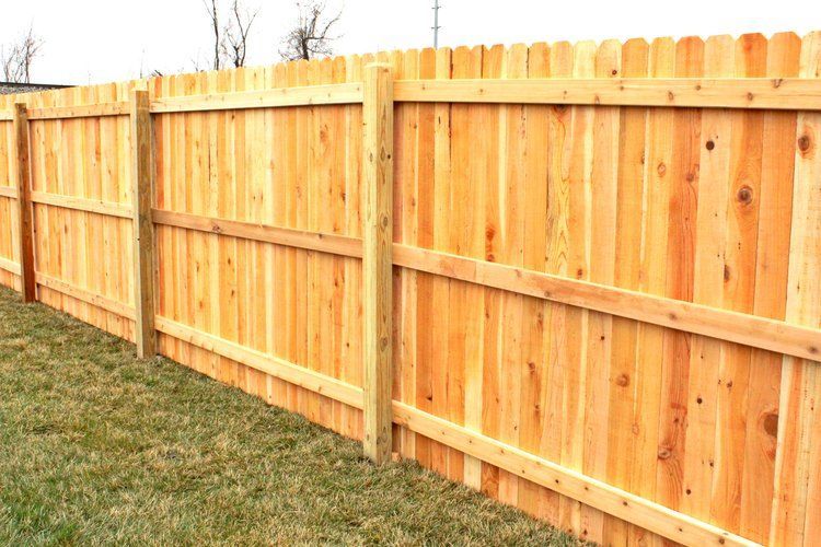 Wooden fence enclosing a grassy yard. Vertical planks are secured to posts and horizontal beams.