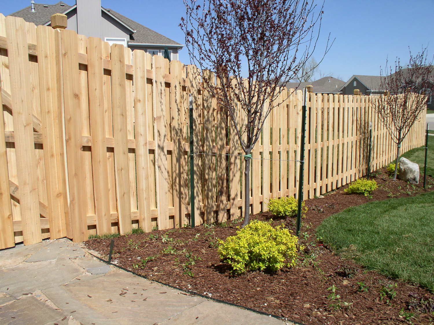 Wooden fence along a landscaped yard with young trees and shrubs. Brown mulch, green grass, and a blue sky.