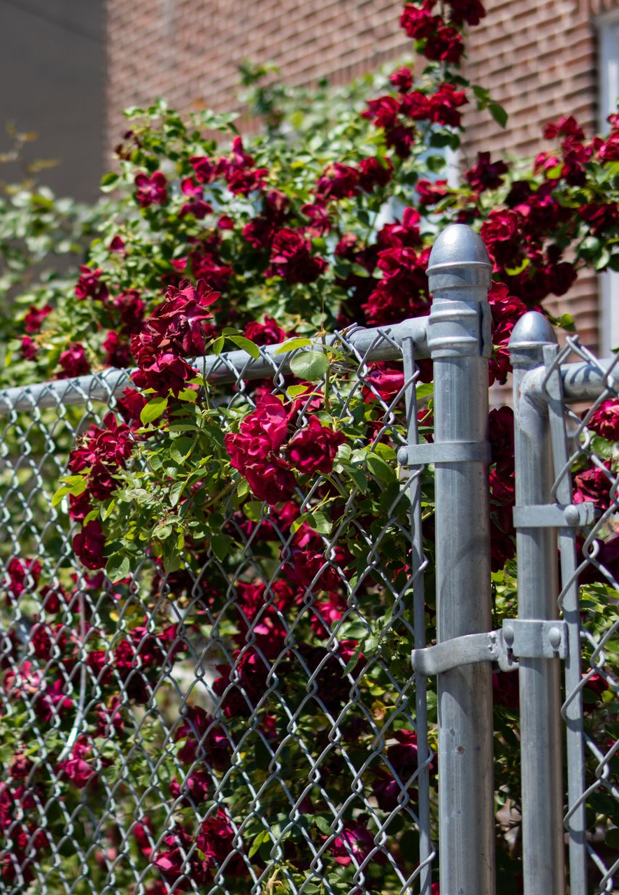 Chain link fence corner section, metallic gray.