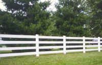 White horizontal rail fence in front of green grass and tall evergreen trees.