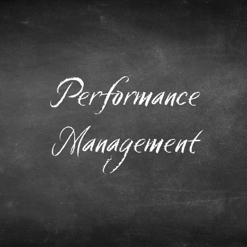 Project Performance Management
