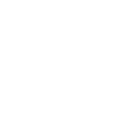 gavel