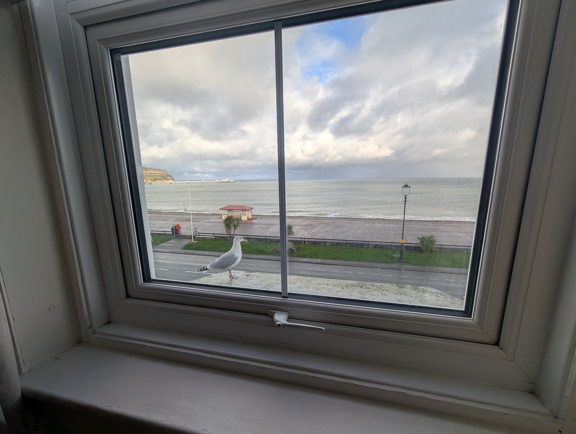 Seagull on a windowsill overlooking a beach with cloudy skies.