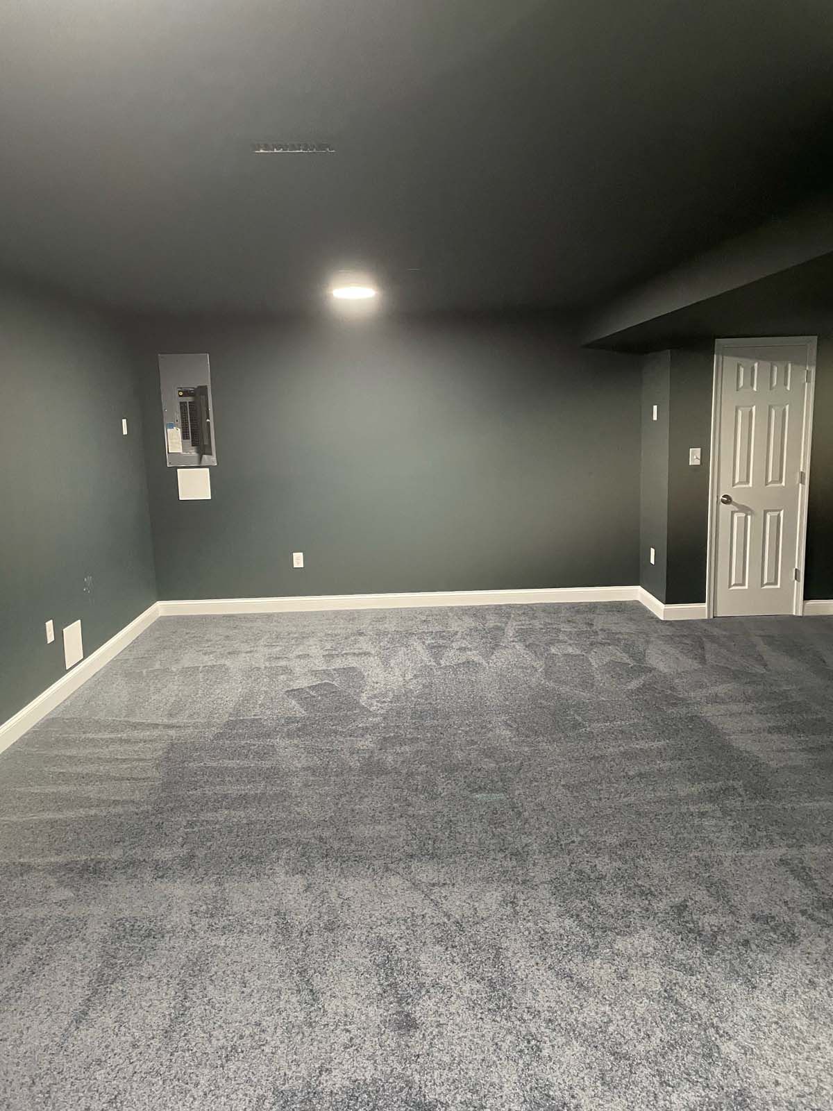 Dark-painted room with gray carpet, white trim, and a white door. A white electrical panel is on the wall.