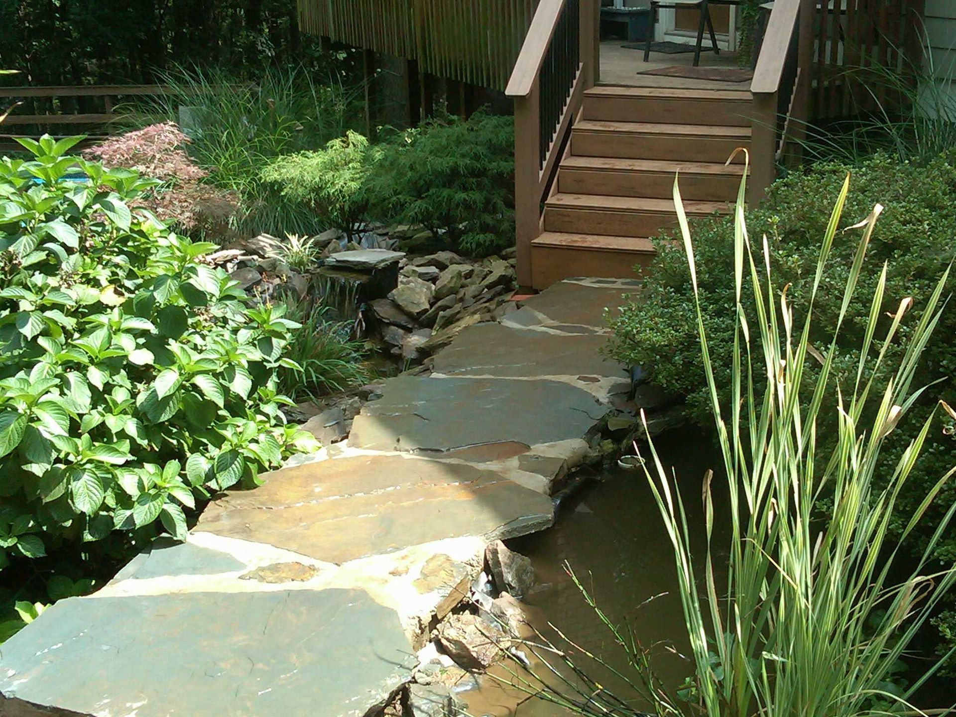 Stone path leads toward wooden stairs, surrounded by lush green plants and a small pond.