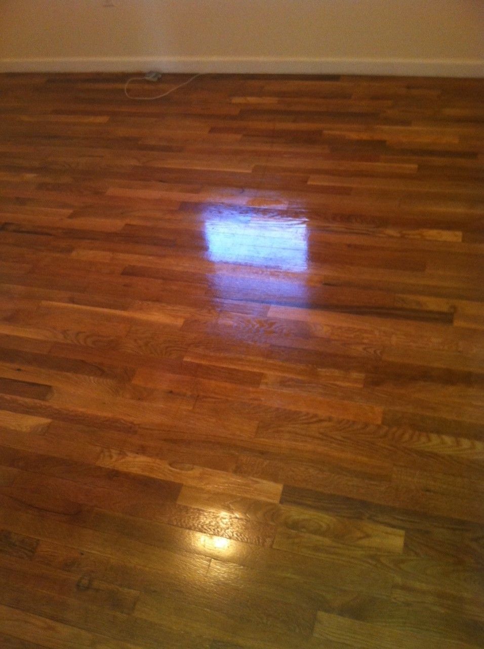 Wooden floorboards with a glossy finish; a square of blue light reflects on the surface.