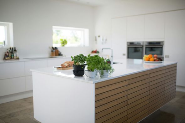 Modern kitchen with white cabinets, wood island, and potted herbs.