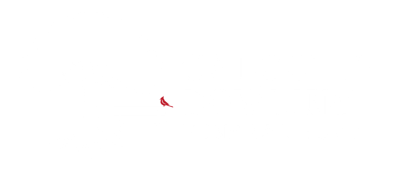 A small red shape on a white background.