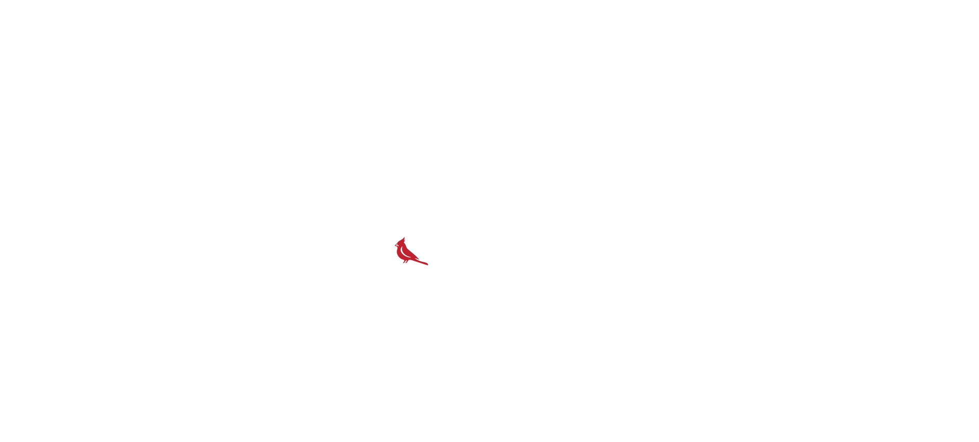 A small red shape on a white background.