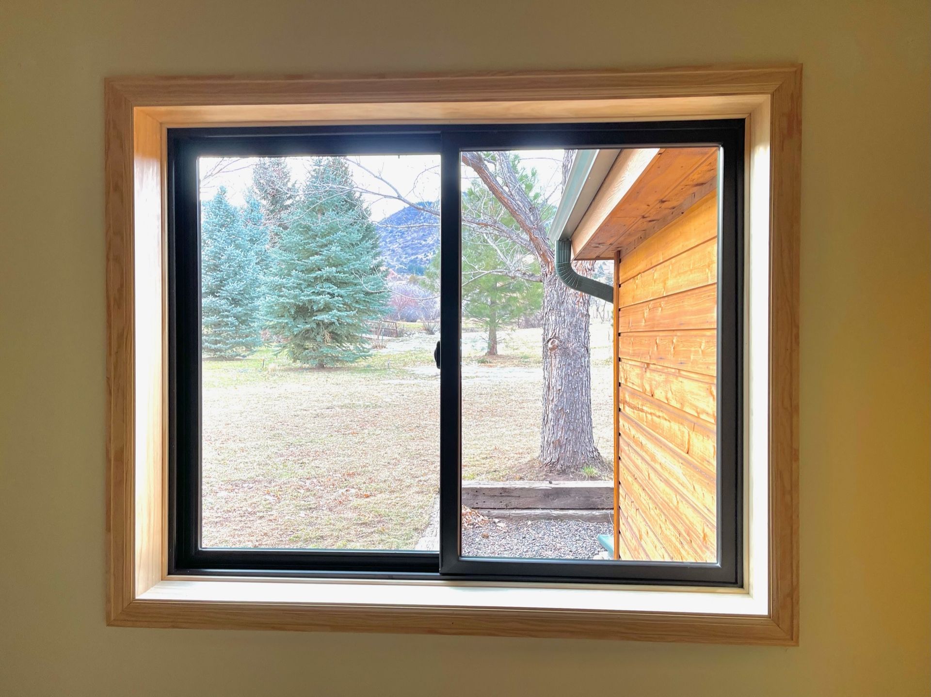 A window with black frame, overlooking a yard with trees and a building with orange siding, framed by a light-colored wooden trim.