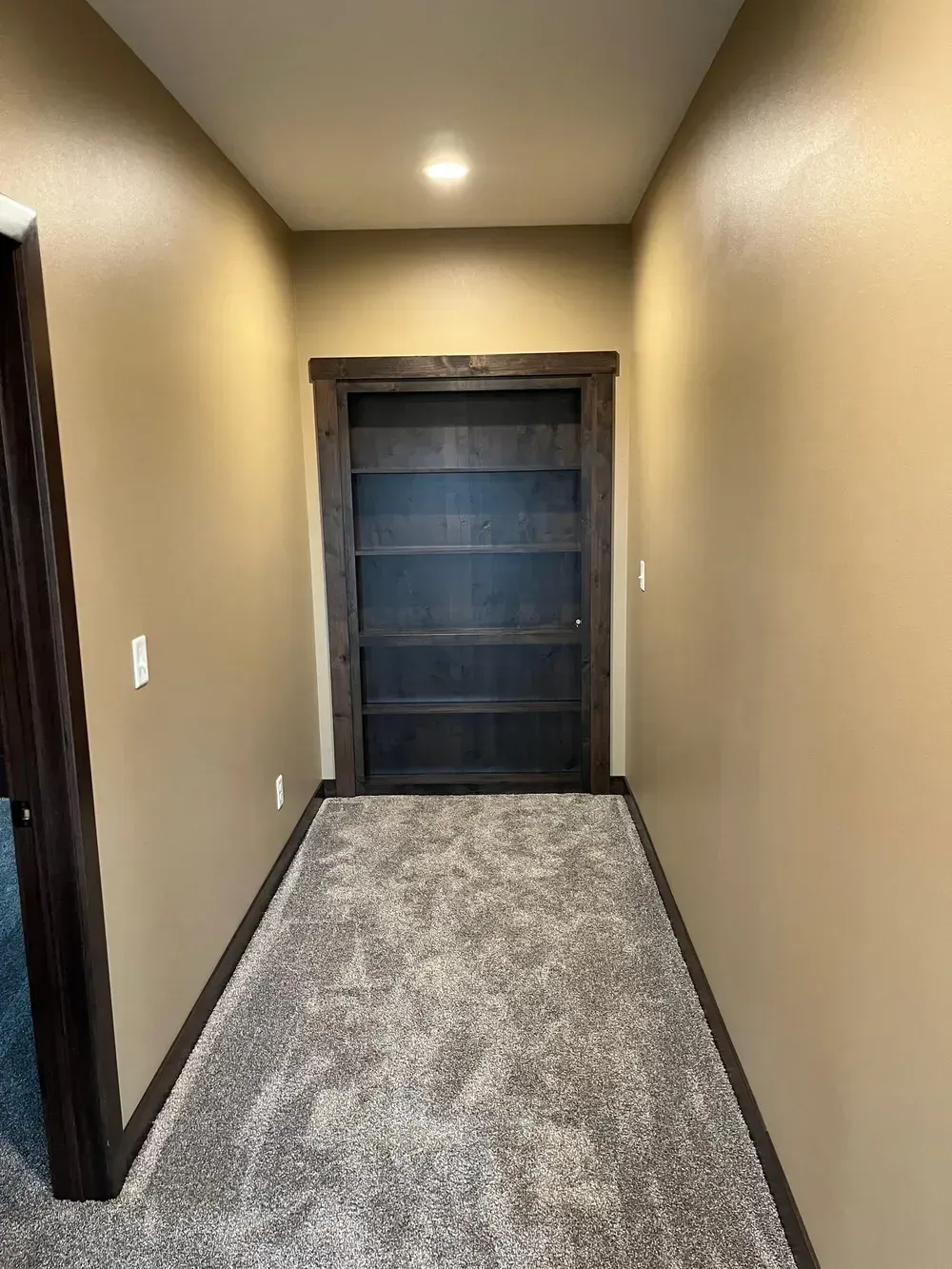 A hallway with a door and a carpeted floor in a house.