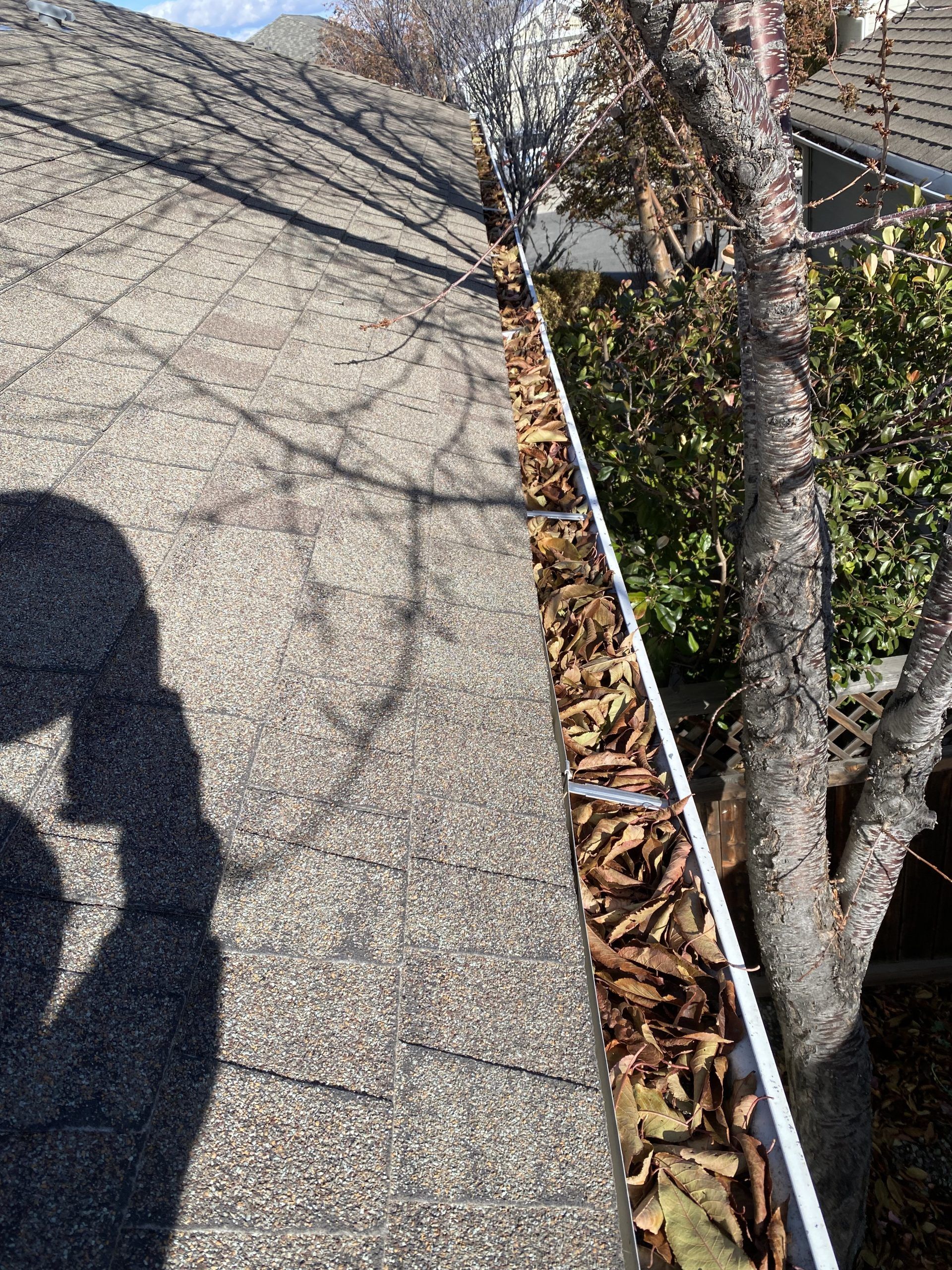 A shadow of a person standing next to a gutter with leaves on it.