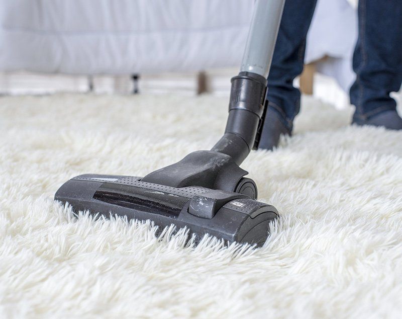 Carpet Cleaners — Bloomington, IN — Bloomington Professional Carpet Cleaners