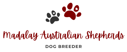 Madalay Australian Shepherds Logo