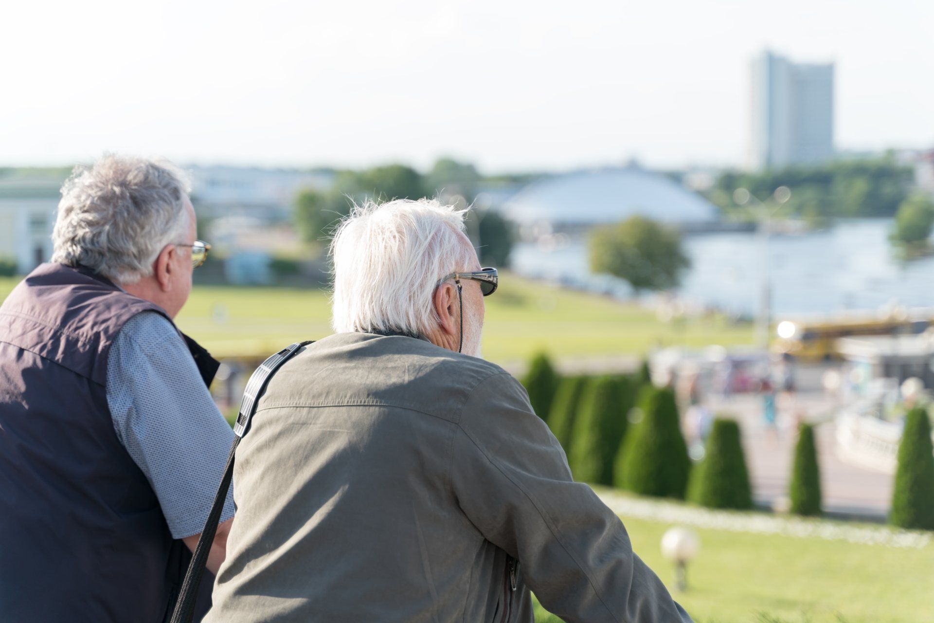 people overlooking a park