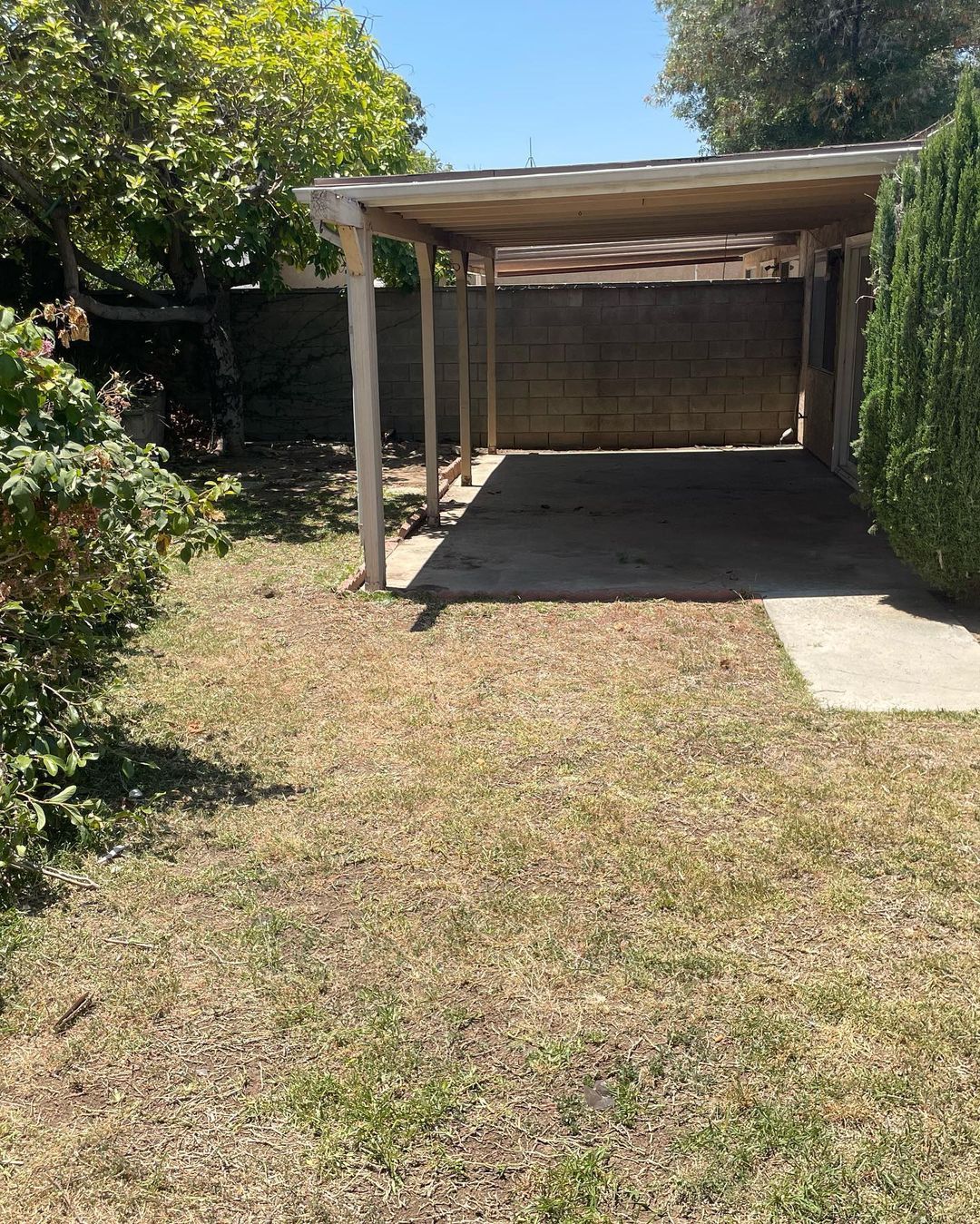 Backyard with a carport. Dry grass, brick wall in the back, and green bushes. Sunny day.