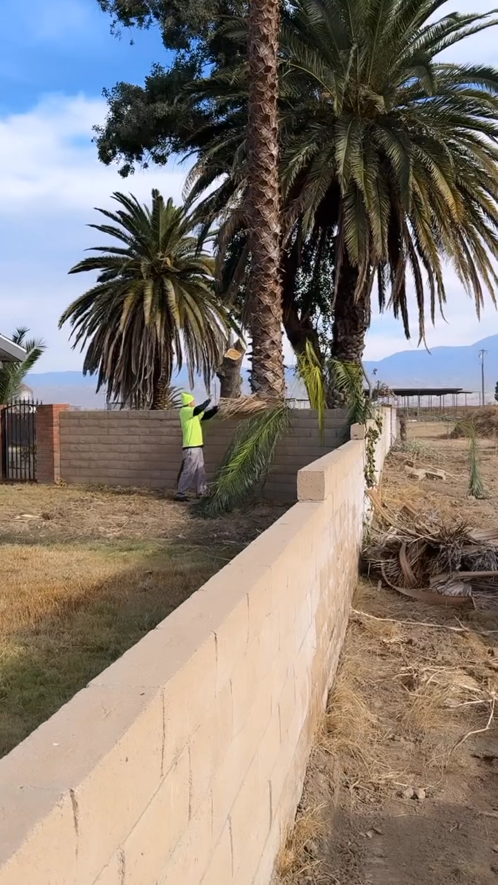 Junk Removal, Junk Removal Near Me, Junk Removal Company, Junk Removal Company Near Me, Resdential Junk Removal, Commercial Junk Removal, Hemet Junk Removal, Murrieta Junk Removal, Beaumont Junk Removal, Banning Junk Removal, Riverside Junk Removal, San Bernardino Junk Removal, Canyon Lake Junk Removal, Perris Junk Removal, San Jacinto Junk Removal, Rock Hauling, Rock Delivery, Dirt Hauling, Dirt Delivery, Gravel Hauling, Gravel Delivery, Sand Hauling, Sand Delivery, Property Cleanouts, Hoarder Cleanouts, Yard Clean Up, Palm Tree Cleanups, Stump Removals, Landscaping, Landscaper Near Me, Hemet Landscaping, Murrieta Landscaping, Beaumont Landscaping, Banning Landscaping, Riverside Landscaping, San Bernardino Landscaping, Canyon Lake Landscaping, Perris Landscaping, San Jacinto Landscaping, Lawn Maintenance, Weed Wacking, Mowing, Lawn Care, Tree Installation, Bush Installation, Demolition, Demolition Near Me, Hemet Demolition, Murrieta Demolition, Beaumont Demolition, Banning Demolition, Riverside Demolition, San Bernardino Demolition, Canyon Lake Demolition, Perris Demolition, San Jacinto Demolition, Wall Demolition, Concrete Demolition, House Demolition, Roof Demolition, Tile Removal, Cabinet Removal, Floor Removal, Carpet Removal, Patio Removal, Menifee CA, Temecula CA, Winchester CA, Homeland CA, Perris CA, Canyon Lake CA, Murrieta CA, Lake Elsinore CA, Fallbrook CA, Beaumont CA, Cabanzon CA, Moronga CA, Banning CA, Cherry Valley CA, Yuciapa CA, French Valley CA, Redlands CA, Moreno Valley CA, Riverside CA, San Bernardino CA