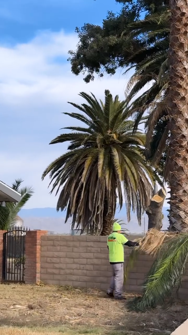 Junk Removal, Junk Removal Near Me, Junk Removal Company, Junk Removal Company Near Me, Resdential Junk Removal, Commercial Junk Removal, Hemet Junk Removal, Murrieta Junk Removal, Beaumont Junk Removal, Banning Junk Removal, Riverside Junk Removal, San Bernardino Junk Removal, Canyon Lake Junk Removal, Perris Junk Removal, San Jacinto Junk Removal, Rock Hauling, Rock Delivery, Dirt Hauling, Dirt Delivery, Gravel Hauling, Gravel Delivery, Sand Hauling, Sand Delivery, Property Cleanouts, Hoarder Cleanouts, Yard Clean Up, Palm Tree Cleanups, Stump Removals, Landscaping, Landscaper Near Me, Hemet Landscaping, Murrieta Landscaping, Beaumont Landscaping, Banning Landscaping, Riverside Landscaping, San Bernardino Landscaping, Canyon Lake Landscaping, Perris Landscaping, San Jacinto Landscaping, Lawn Maintenance, Weed Wacking, Mowing, Lawn Care, Tree Installation, Bush Installation, Demolition, Demolition Near Me, Hemet Demolition, Murrieta Demolition, Beaumont Demolition, Banning Demolition, Riverside Demolition, San Bernardino Demolition, Canyon Lake Demolition, Perris Demolition, San Jacinto Demolition, Wall Demolition, Concrete Demolition, House Demolition, Roof Demolition, Tile Removal, Cabinet Removal, Floor Removal, Carpet Removal, Patio Removal, Menifee CA, Temecula CA, Winchester CA, Homeland CA, Perris CA, Canyon Lake CA, Murrieta CA, Lake Elsinore CA, Fallbrook CA, Beaumont CA, Cabanzon CA, Moronga CA, Banning CA, Cherry Valley CA, Yuciapa CA, French Valley CA, Redlands CA, Moreno Valley CA, Riverside CA, San Bernardino CA