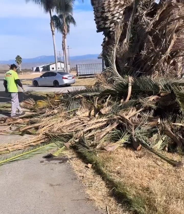 Junk Removal, Junk Removal Near Me, Junk Removal Company, Junk Removal Company Near Me, Resdential Junk Removal, Commercial Junk Removal, Hemet Junk Removal, Murrieta Junk Removal, Beaumont Junk Removal, Banning Junk Removal, Riverside Junk Removal, San Bernardino Junk Removal, Canyon Lake Junk Removal, Perris Junk Removal, San Jacinto Junk Removal, Rock Hauling, Rock Delivery, Dirt Hauling, Dirt Delivery, Gravel Hauling, Gravel Delivery, Sand Hauling, Sand Delivery, Property Cleanouts, Hoarder Cleanouts, Yard Clean Up, Palm Tree Cleanups, Stump Removals, Landscaping, Landscaper Near Me, Hemet Landscaping, Murrieta Landscaping, Beaumont Landscaping, Banning Landscaping, Riverside Landscaping, San Bernardino Landscaping, Canyon Lake Landscaping, Perris Landscaping, San Jacinto Landscaping, Lawn Maintenance, Weed Wacking, Mowing, Lawn Care, Tree Installation, Bush Installation, Demolition, Demolition Near Me, Hemet Demolition, Murrieta Demolition, Beaumont Demolition, Banning Demolition, Riverside Demolition, San Bernardino Demolition, Canyon Lake Demolition, Perris Demolition, San Jacinto Demolition, Wall Demolition, Concrete Demolition, House Demolition, Roof Demolition, Tile Removal, Cabinet Removal, Floor Removal, Carpet Removal, Patio Removal, Menifee CA, Temecula CA, Winchester CA, Homeland CA, Perris CA, Canyon Lake CA, Murrieta CA, Lake Elsinore CA, Fallbrook CA, Beaumont CA, Cabanzon CA, Moronga CA, Banning CA, Cherry Valley CA, Yuciapa CA, French Valley CA, Redlands CA, Moreno Valley CA, Riverside CA, San Bernardino CA