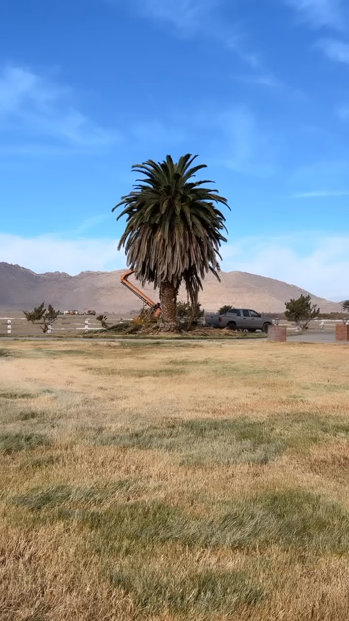 Junk Removal, Junk Removal Near Me, Junk Removal Company, Junk Removal Company Near Me, Resdential Junk Removal, Commercial Junk Removal, Hemet Junk Removal, Murrieta Junk Removal, Beaumont Junk Removal, Banning Junk Removal, Riverside Junk Removal, San Bernardino Junk Removal, Canyon Lake Junk Removal, Perris Junk Removal, San Jacinto Junk Removal, Rock Hauling, Rock Delivery, Dirt Hauling, Dirt Delivery, Gravel Hauling, Gravel Delivery, Sand Hauling, Sand Delivery, Property Cleanouts, Hoarder Cleanouts, Yard Clean Up, Palm Tree Cleanups, Stump Removals, Landscaping, Landscaper Near Me, Hemet Landscaping, Murrieta Landscaping, Beaumont Landscaping, Banning Landscaping, Riverside Landscaping, San Bernardino Landscaping, Canyon Lake Landscaping, Perris Landscaping, San Jacinto Landscaping, Lawn Maintenance, Weed Wacking, Mowing, Lawn Care, Tree Installation, Bush Installation, Demolition, Demolition Near Me, Hemet Demolition, Murrieta Demolition, Beaumont Demolition, Banning Demolition, Riverside Demolition, San Bernardino Demolition, Canyon Lake Demolition, Perris Demolition, San Jacinto Demolition, Wall Demolition, Concrete Demolition, House Demolition, Roof Demolition, Tile Removal, Cabinet Removal, Floor Removal, Carpet Removal, Patio Removal, Menifee CA, Temecula CA, Winchester CA, Homeland CA, Perris CA, Canyon Lake CA, Murrieta CA, Lake Elsinore CA, Fallbrook CA, Beaumont CA, Cabanzon CA, Moronga CA, Banning CA, Cherry Valley CA, Yuciapa CA, French Valley CA, Redlands CA, Moreno Valley CA, Riverside CA, San Bernardino CA