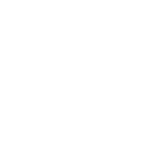 Friends of Stratford Hospital Instagram Logo