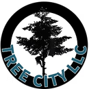 Tree Service in Seattle, WA | Tree City LLC