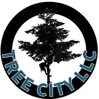 Tree Service in Seattle, WA | Tree City LLC