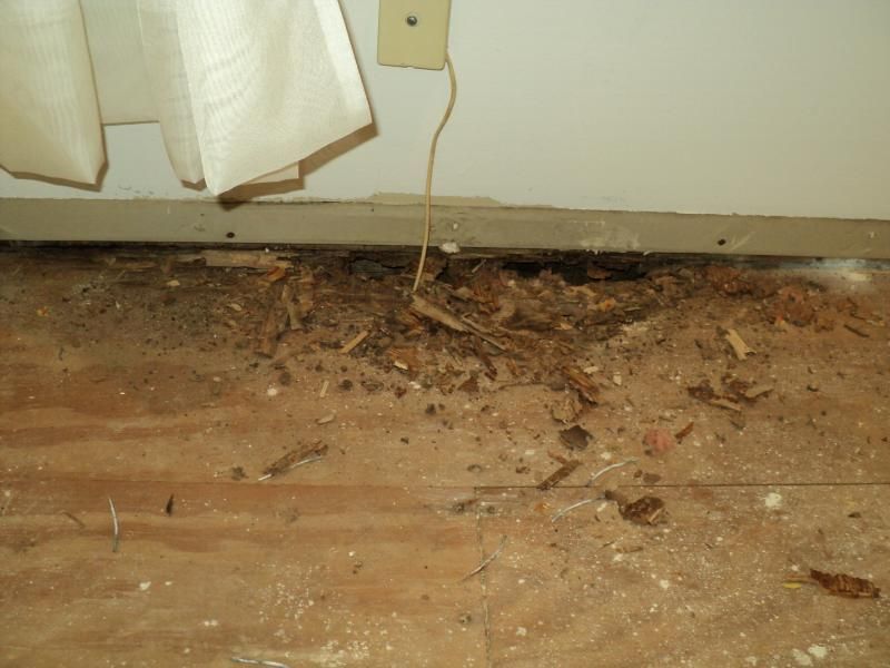 Damaged wooden floor, debris near wall, beige walls, white curtain, electrical outlet.