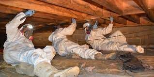 Three people in protective suits inspect wooden beams in a crawl space.