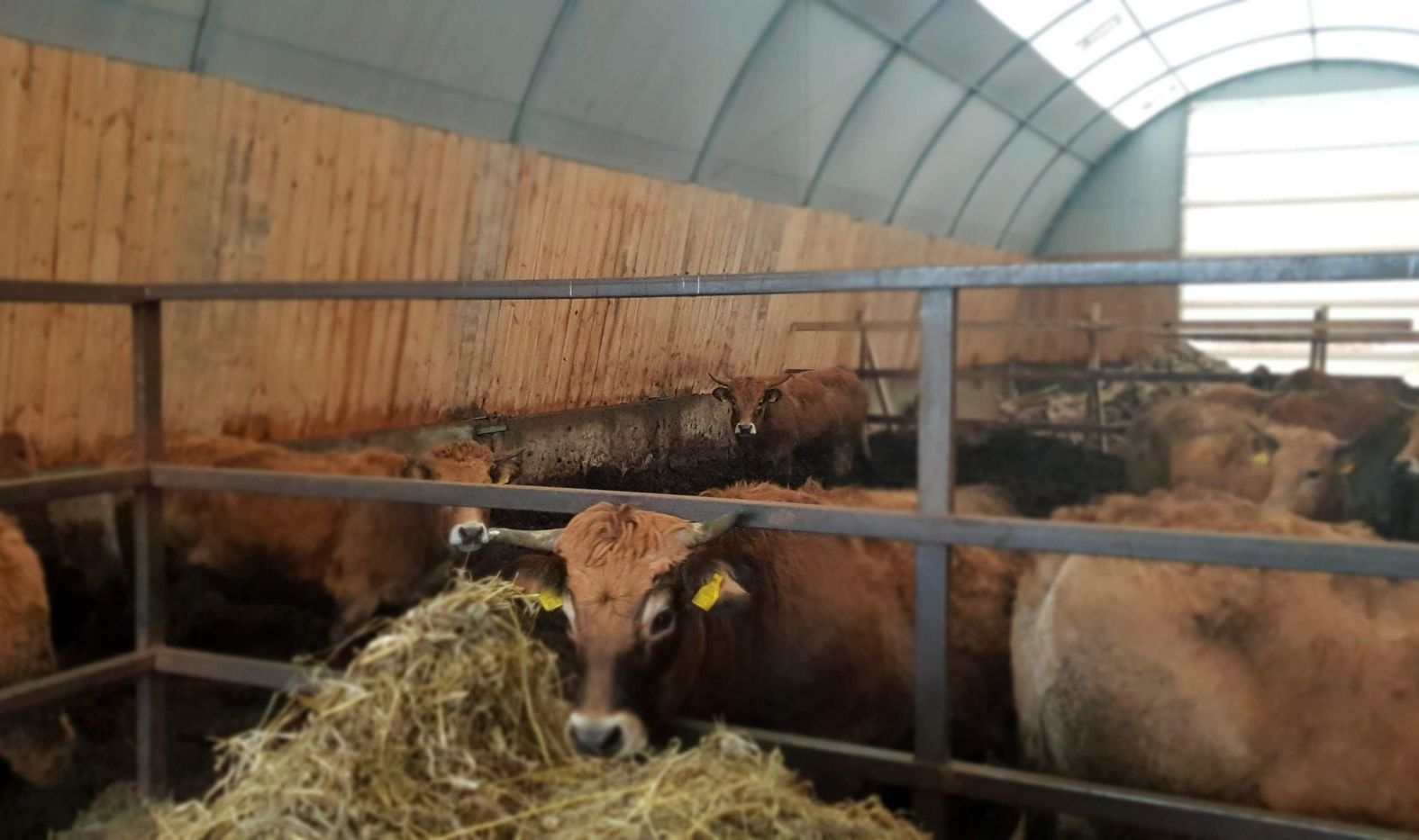 Fermos ir tvartai Fermos ir tvartai