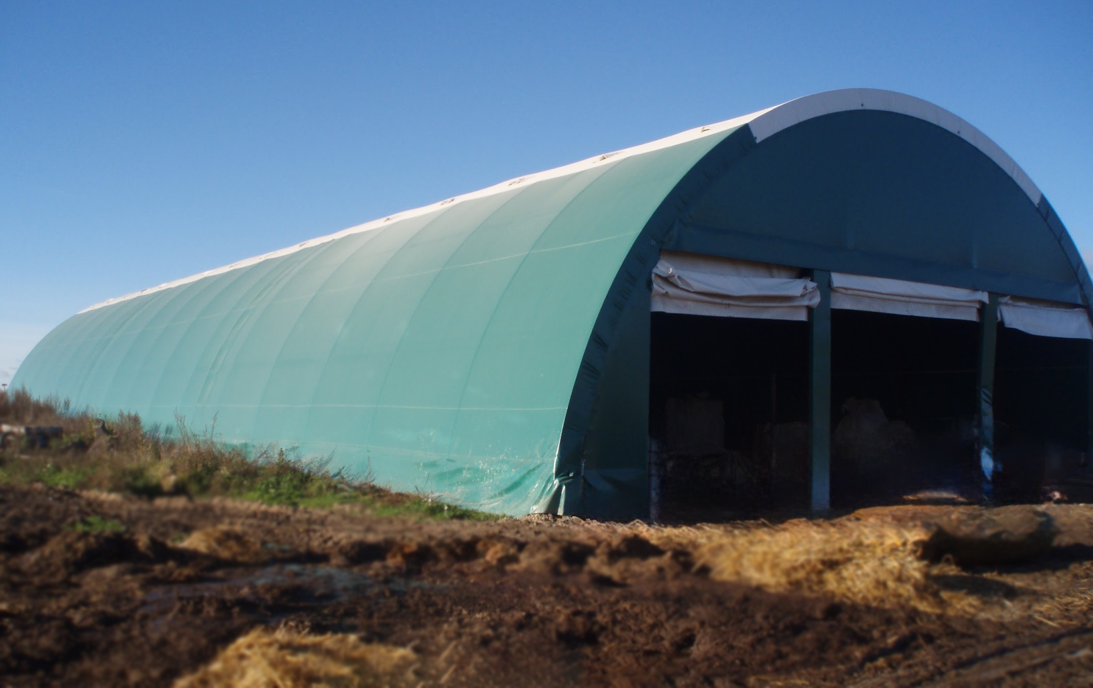 Tentiniai angarai Tentiniai angarai