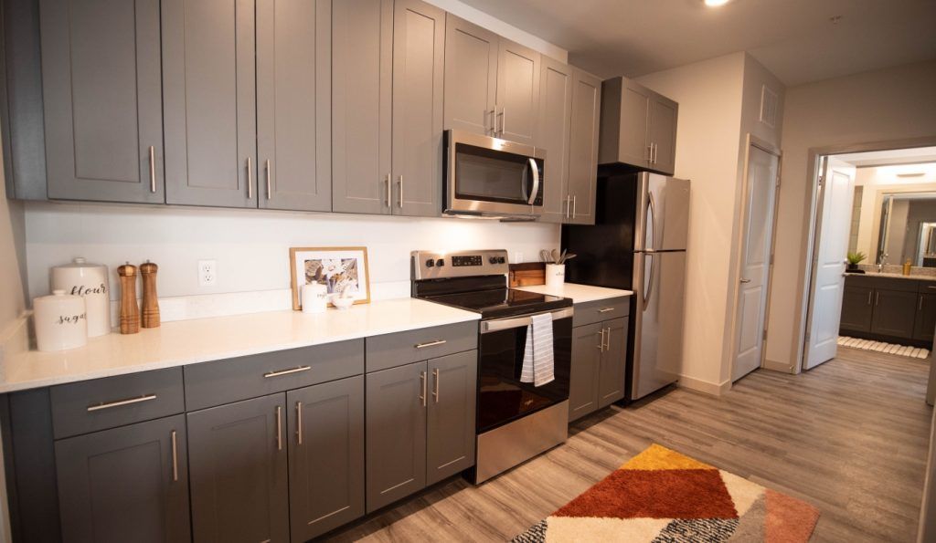 A kitchen with gray cabinets , stainless steel appliances , and a rug on the floor.