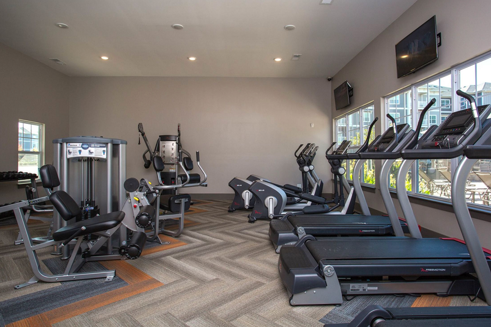 A gym with a lot of treadmills and exercise equipment.