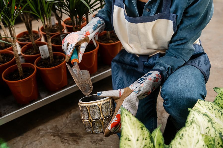 a woman is holding a potted plant in her hands