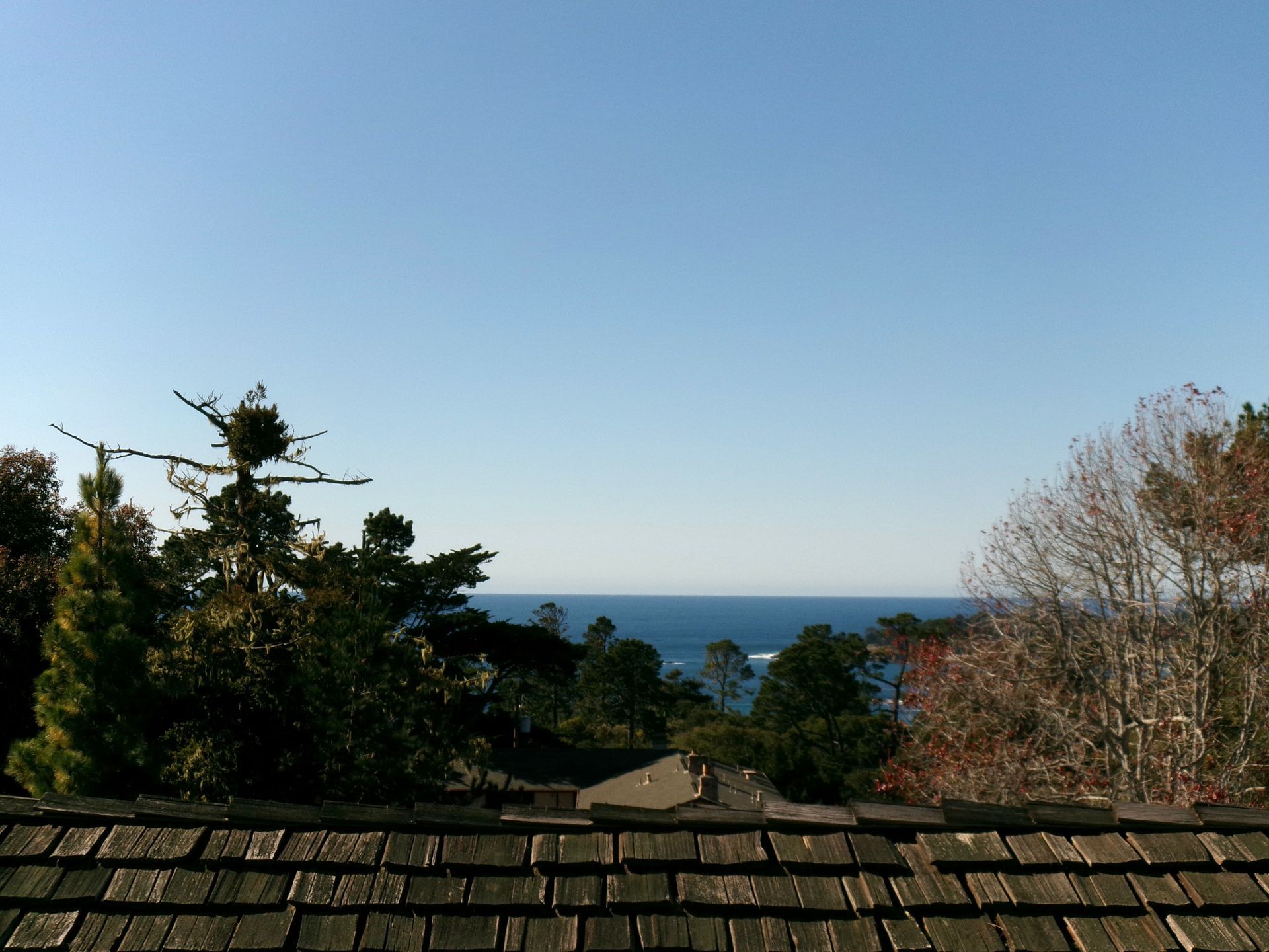 A view overlooking a dark wood-shingle roof, trees, and the blue ocean under a clear, bright sky.