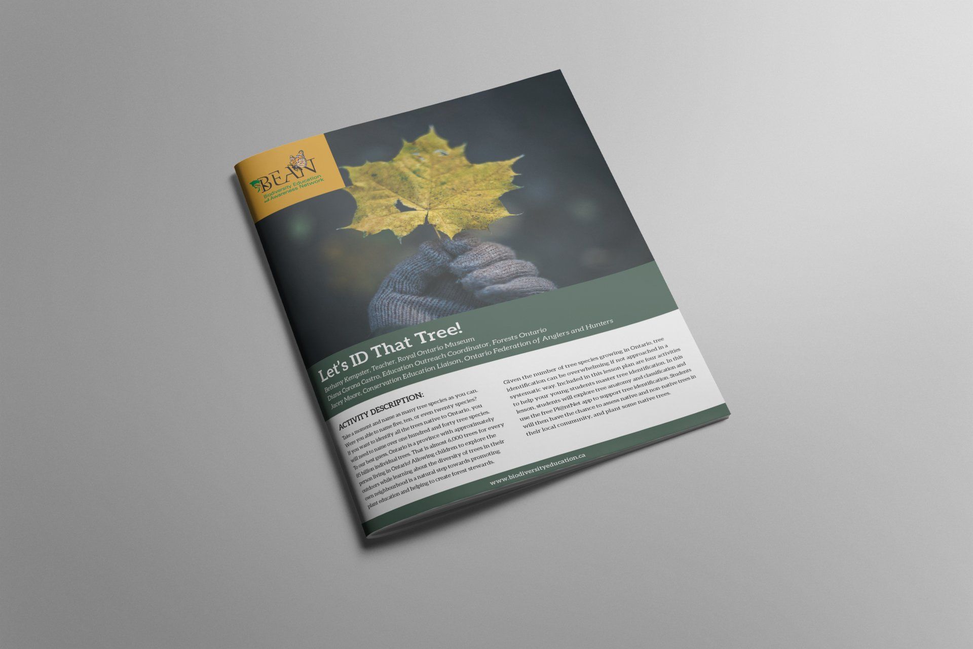 Lesson Plan Brochure