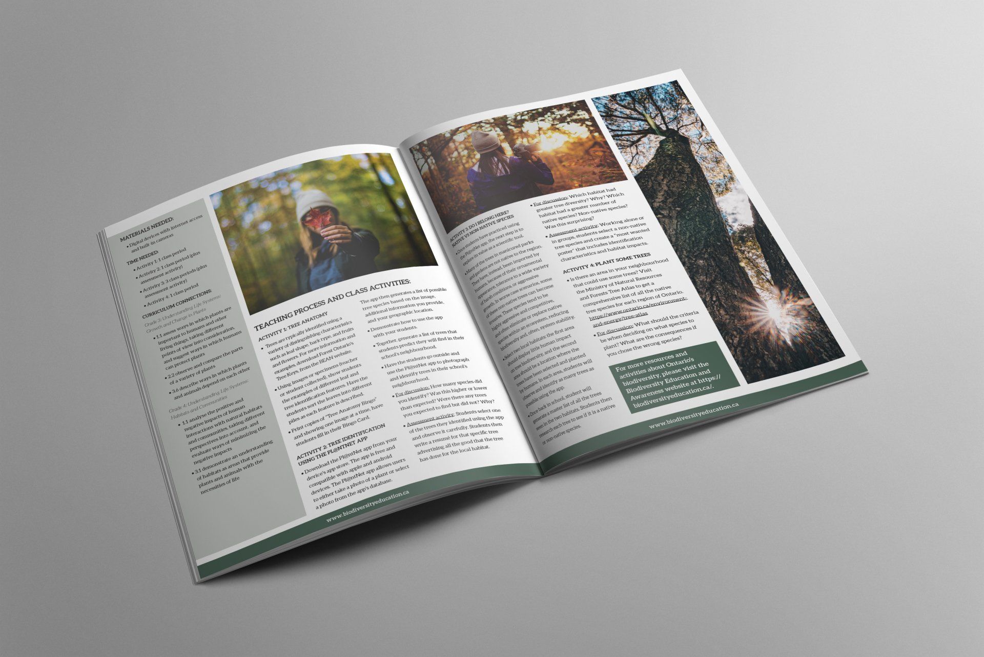 Lesson Plan Brochure