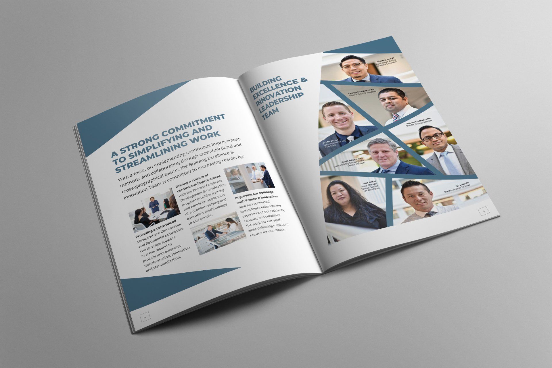 Operational Excellence Brochure