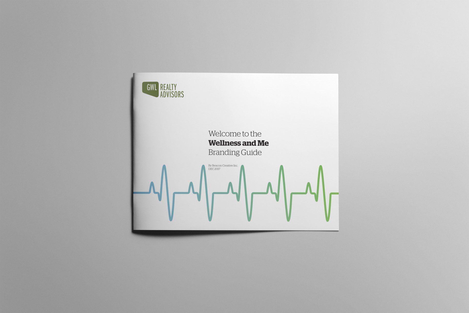 Program Branding Guidelines Brochure