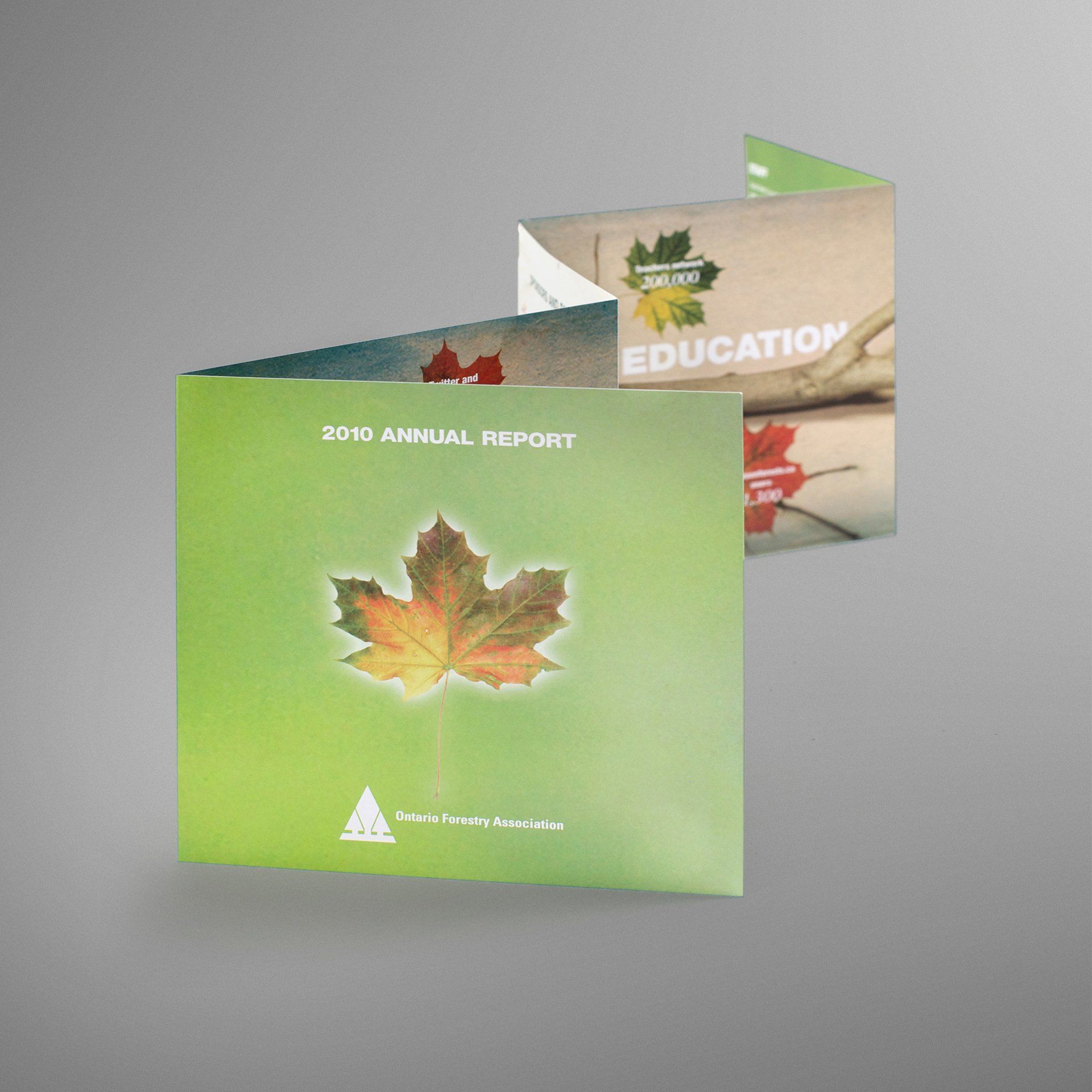 Accordion folded brochure