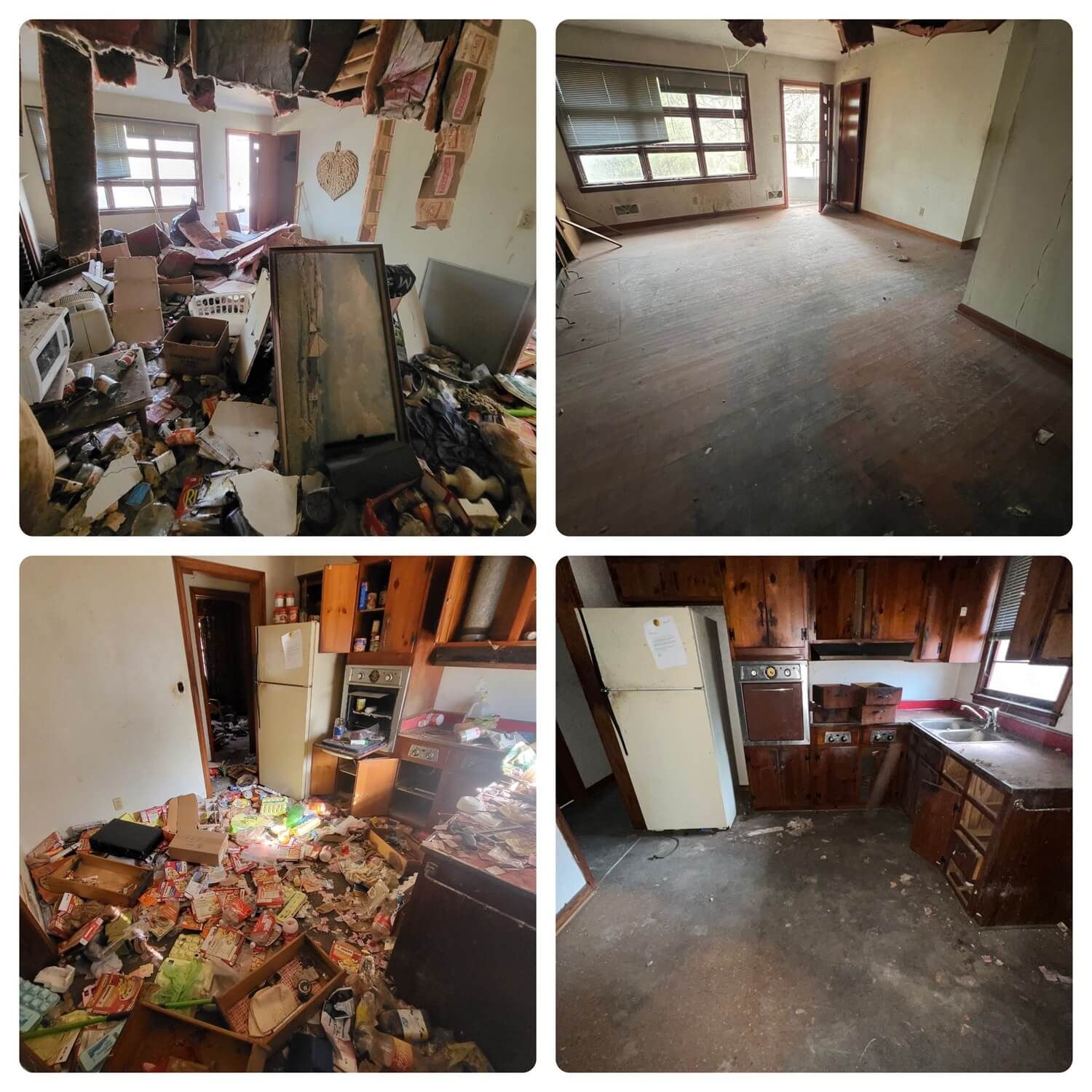 hoarders cleanout before and after
