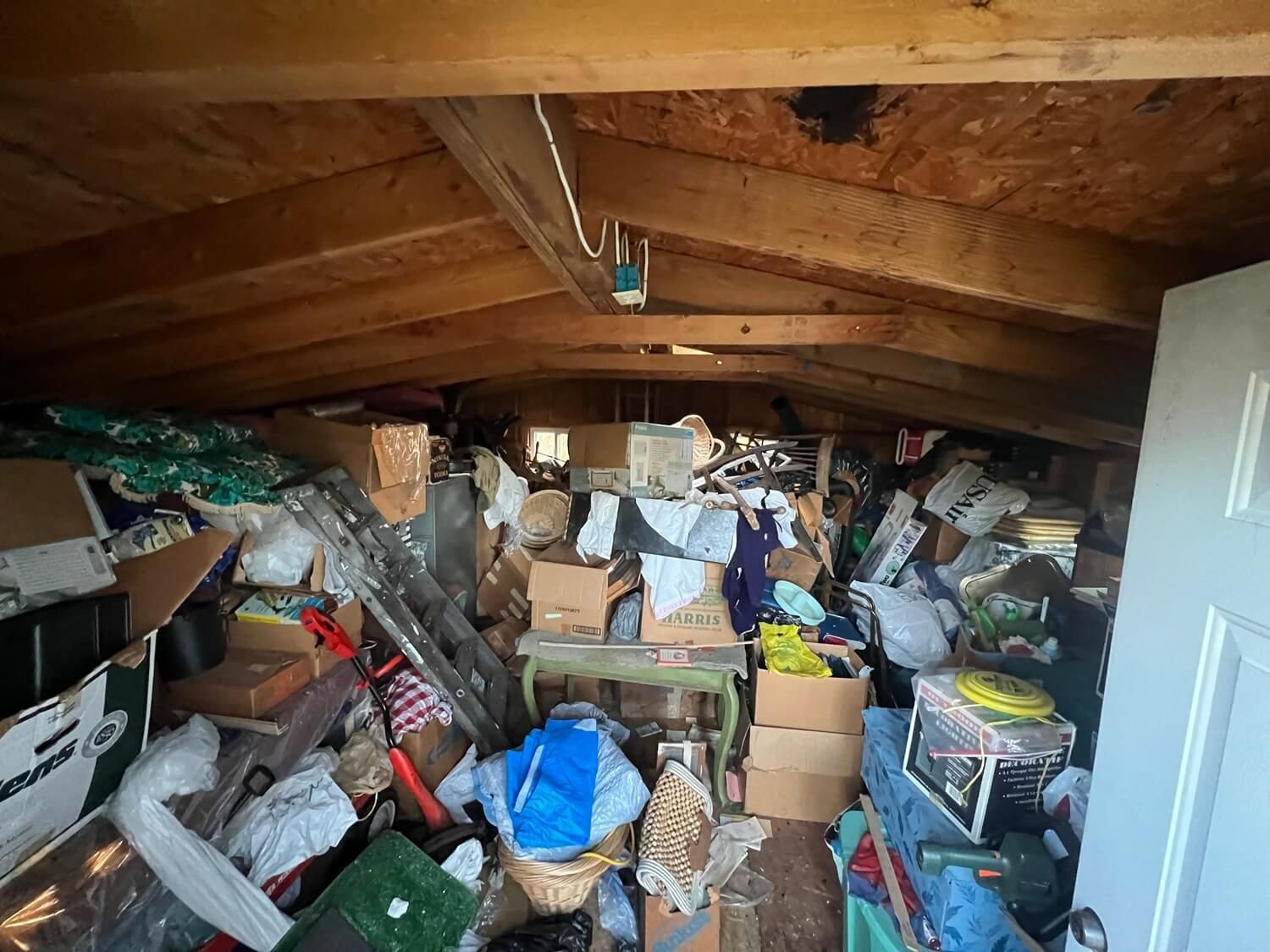 hoarders cleanout on the garage