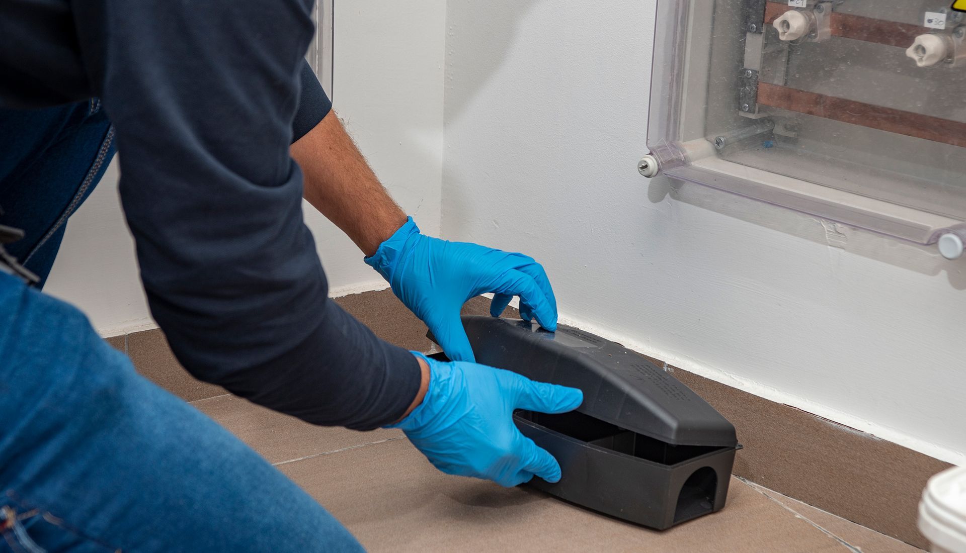 Rodent Control — Brisbane, QLD — Wynnum Manly Pest Control Services