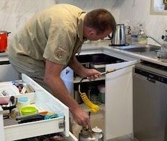 Pest Control — Brisbane, QLD — Wynnum Manly Pest Control Services