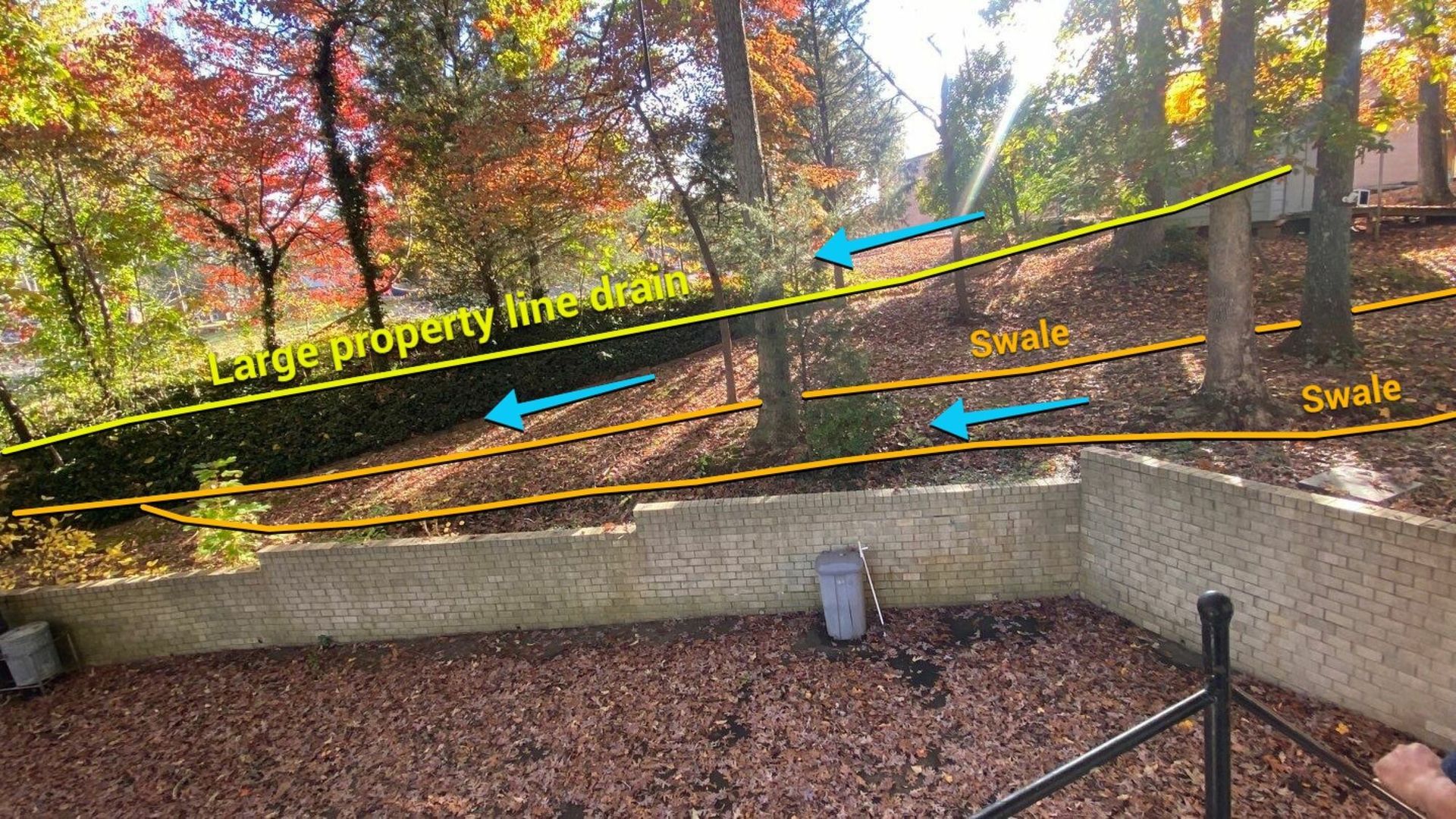 A person is standing in front of a fence in the woods.