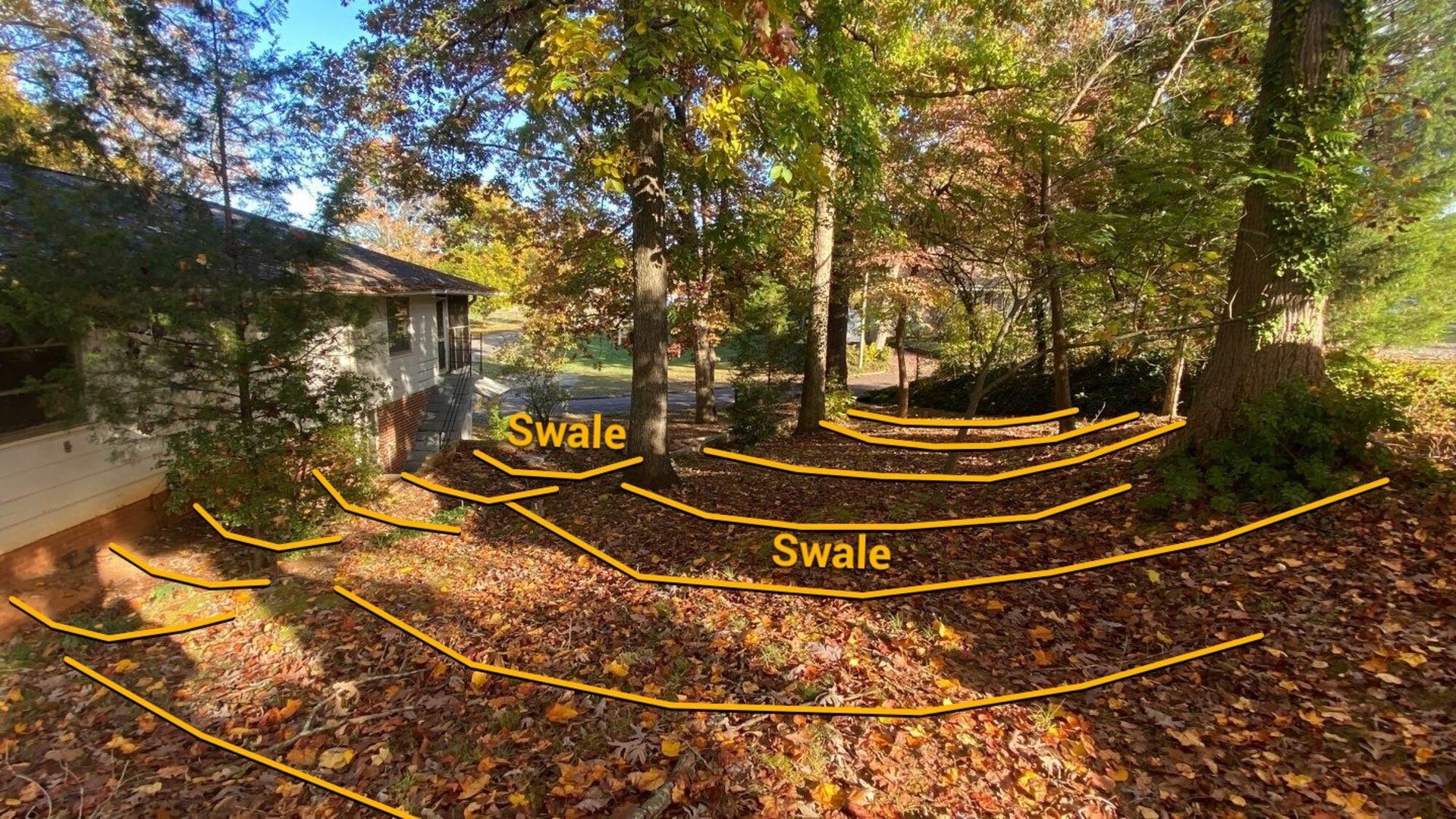A house in the middle of a forest with a lot of leaves on the ground.