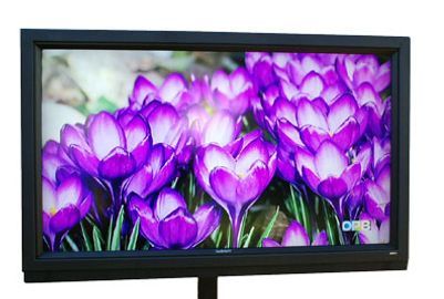 Black framed television displaying a close-up of vibrant purple crocuses with white tips.