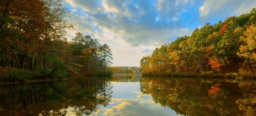 A lake surrounded by trees on a cloudy day