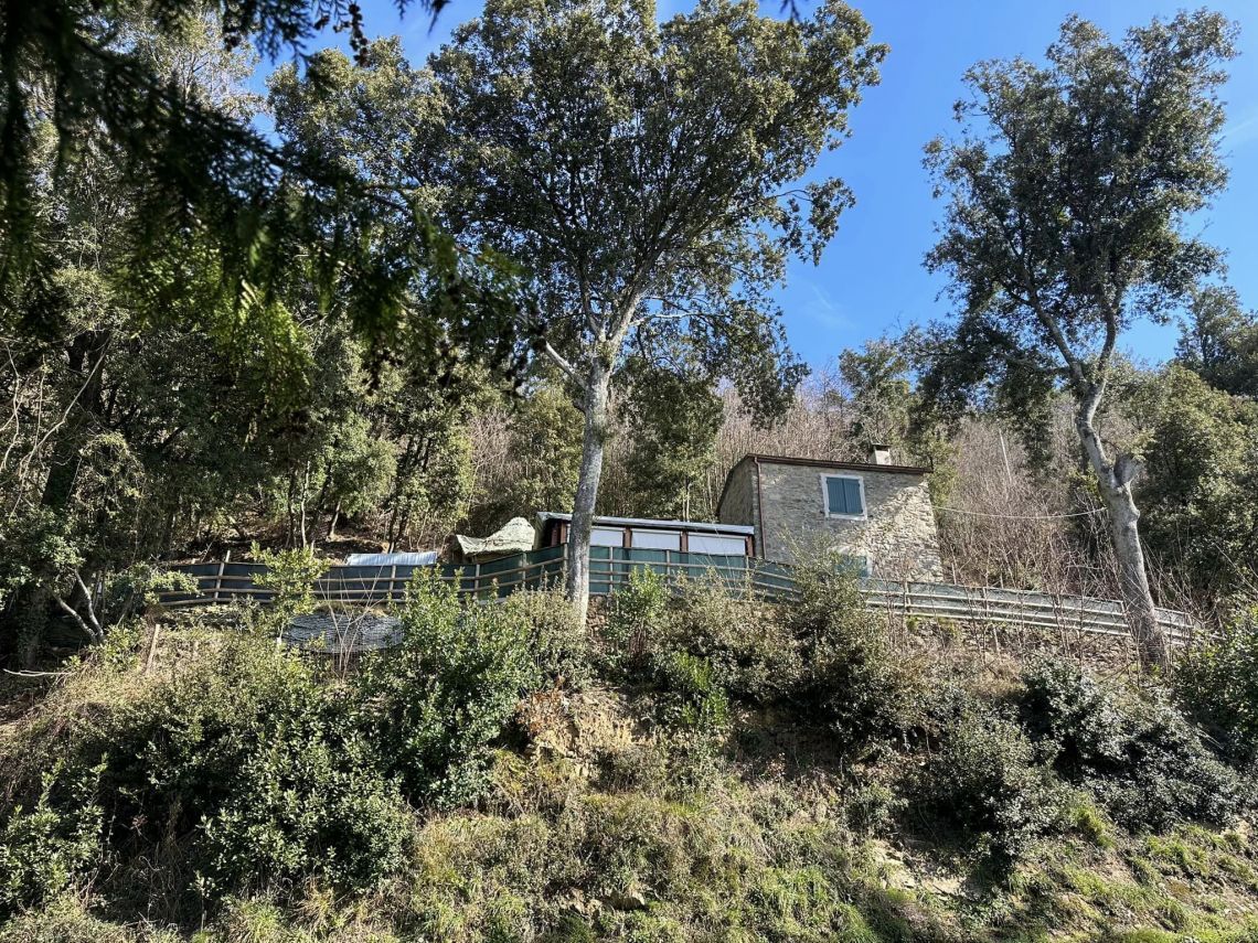 ein kleines Haus auf einem Hügel mit Bäumen umgeben
