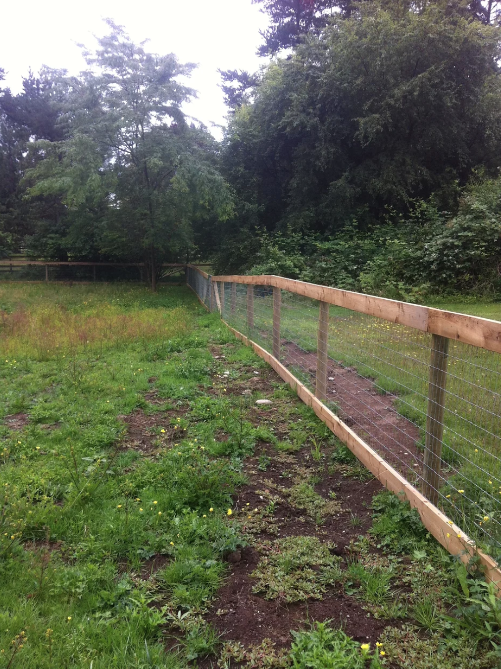 livestock fencing